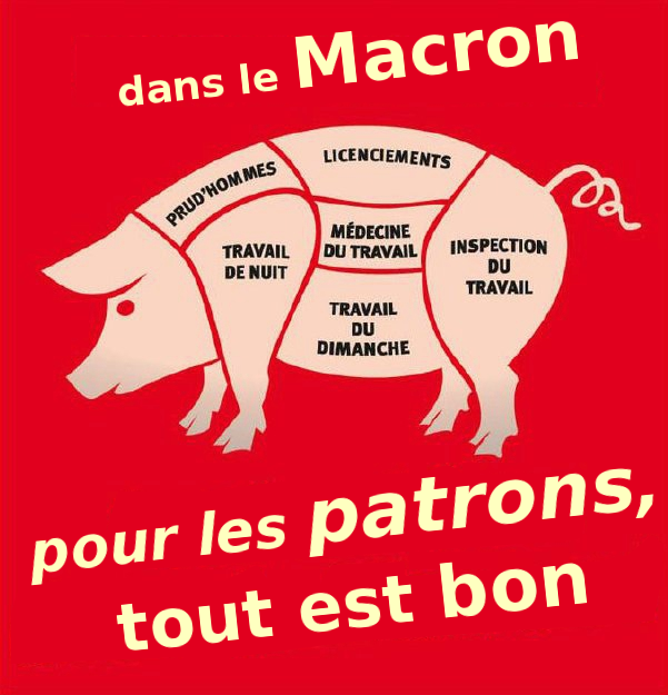 patrons TEBMACRON