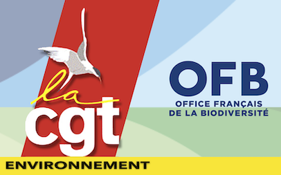 ofb